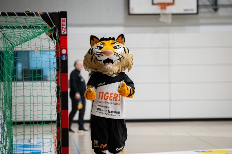 Tiger vor dem Handballtor